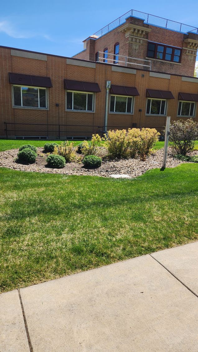 Landscaped rock mulch bed with trimmed shrubs in front of a commercial brick building