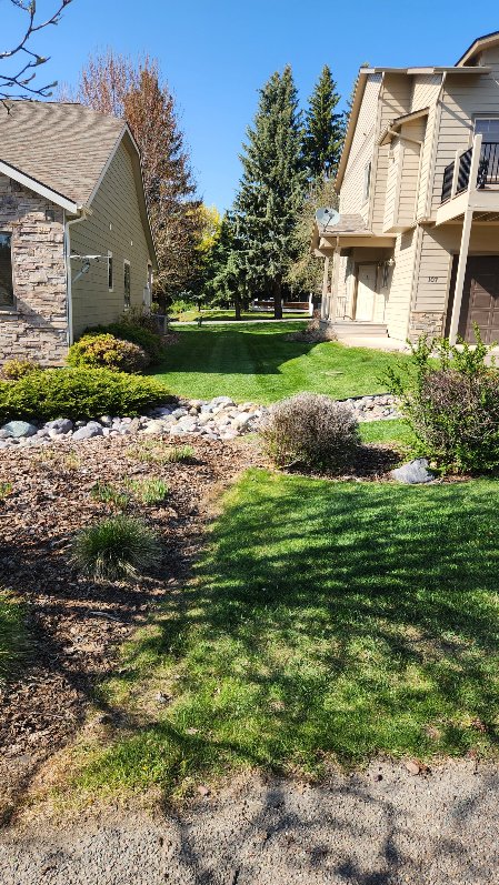 River rock dry creek bed landscaping with ornamental grasses along a townhome walkway